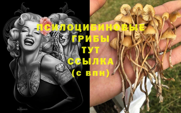 хмурый Бородино