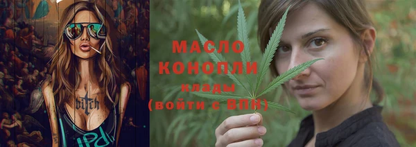 хмурый Бородино