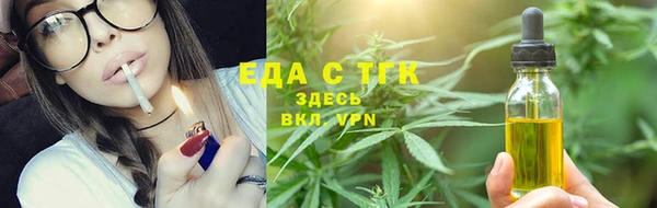 хмурый Бородино