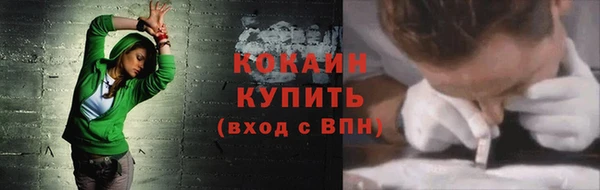хмурый Бородино
