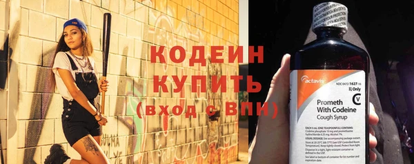хмурый Бородино